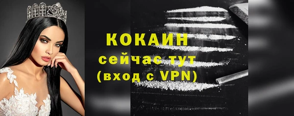 спайс Богородицк