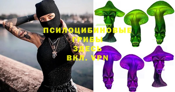 спайс Богородицк